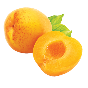 Apricot PNG-12646
